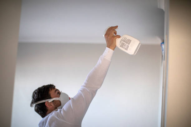Chesilhurst, NJ Mold Remediation Company